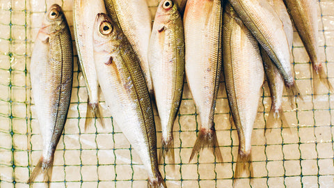 Conserve dal mare