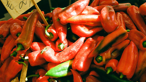 We know that one of the secrets to always having fresh, high-quality vegetables is knowing exactly where they come from. That's why we make sure to trace the origin of our vegetables and carefully respect their seasonality.