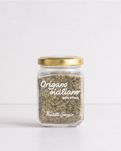 Origano siciliano selvatico