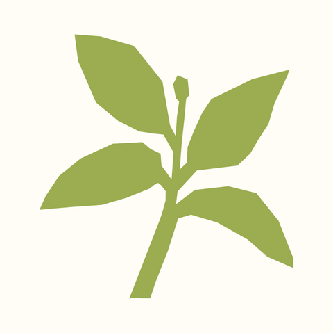 Olio, sale e condimenti